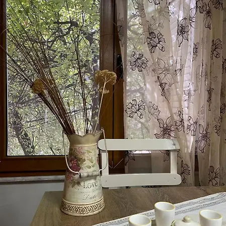 Albania Dream Holidays アパート ティラナ